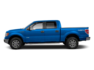 2010 Ford F-150 Platinum