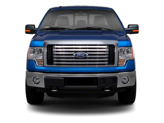 2010 Ford F-150 Platinum