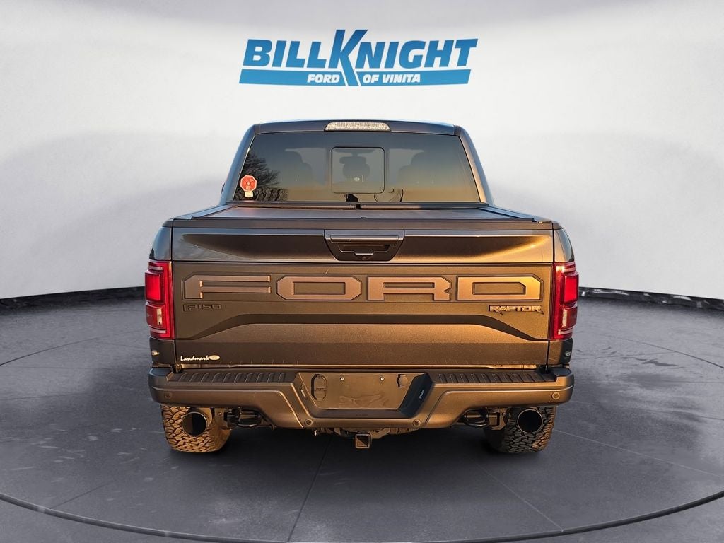 2019 Ford F-150 Raptor