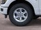 2026 Ford F-150 XLT Fleet