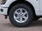 2026 Ford F-150 XLT Fleet