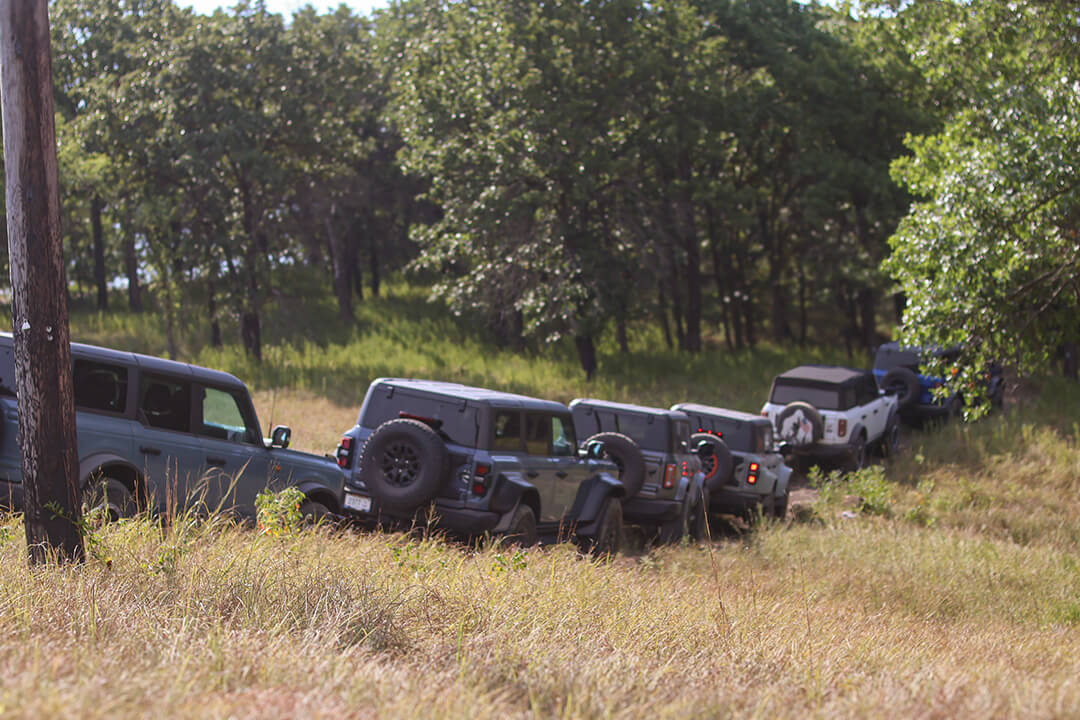 A line of Ford Broncos parked in a grassy field.