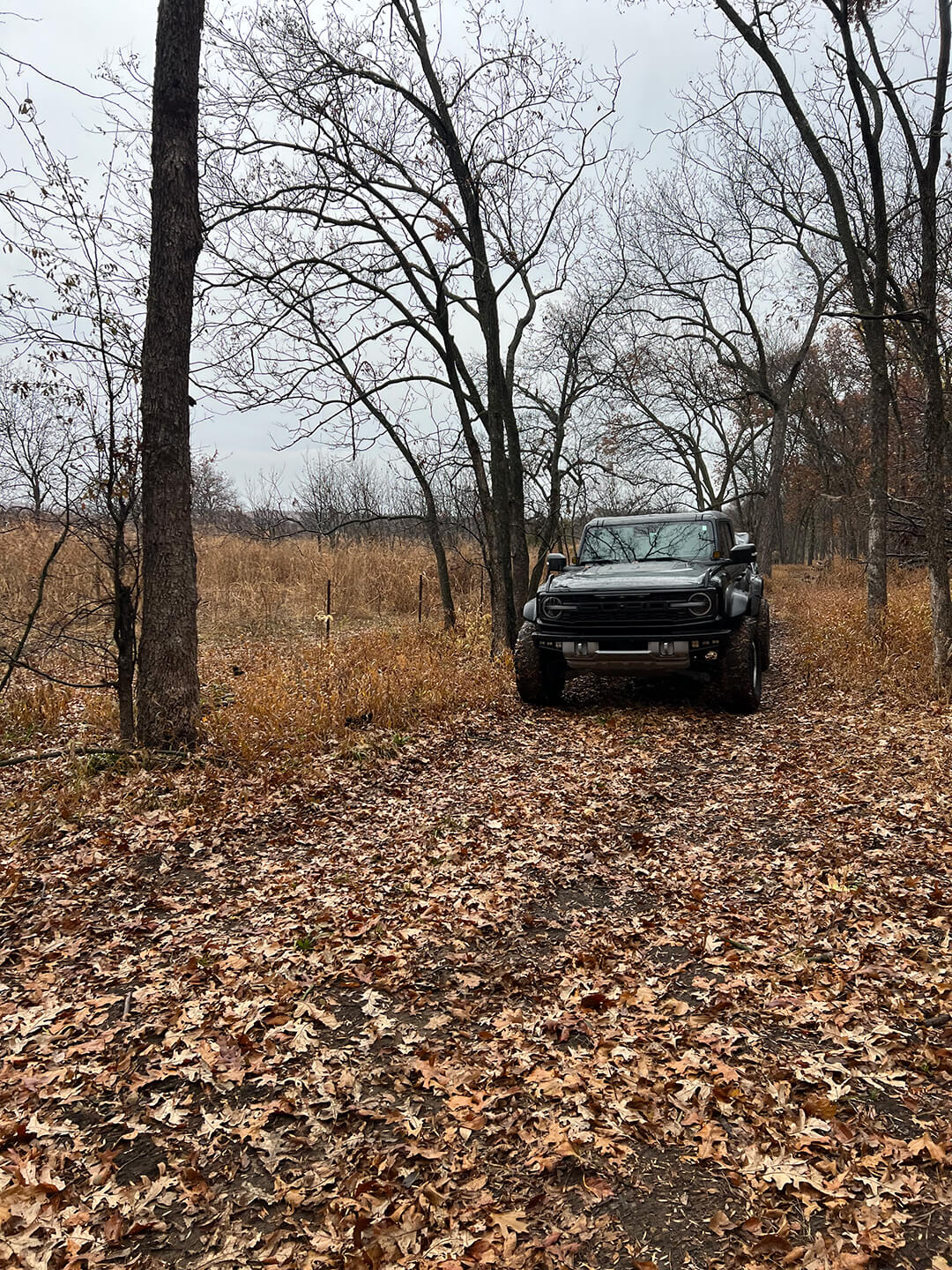 A front view of a black Ford Bronco parked on a dirt trail