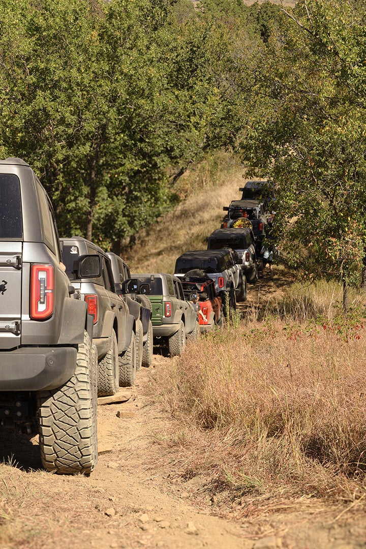 A line of Ford Broncos driving on a forest road.